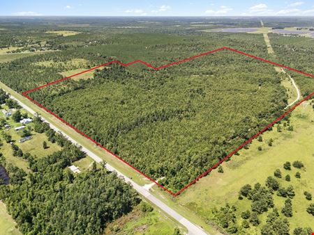 Preview of VacantLand space for Sale at NW CR 275 
