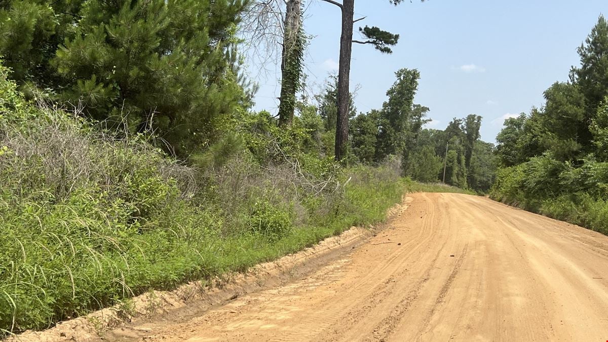 Christmas Road Tract Lot 1