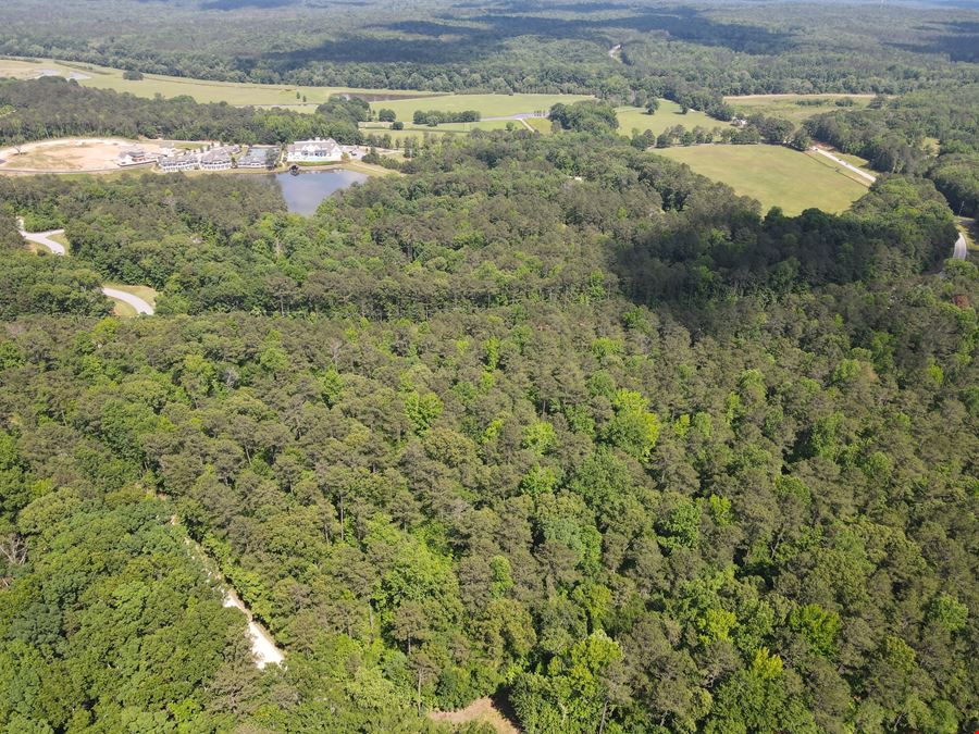 713.08 Acres - Chattahoochee Meadows