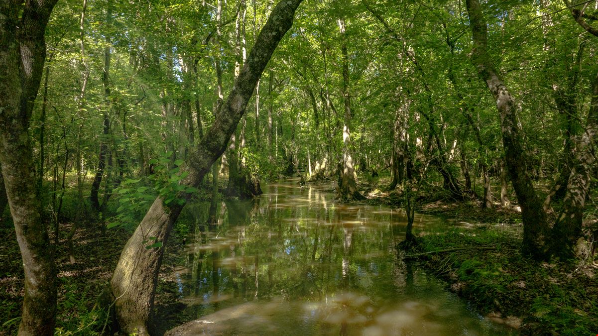 Raccoon Creek Hunting & Timber