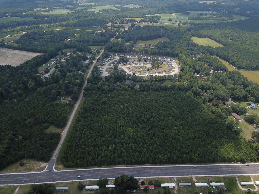 Alligator Rd