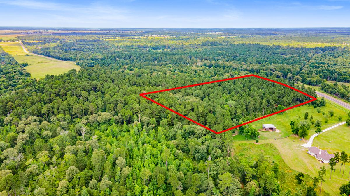 Strategic Land Investment in Trinity