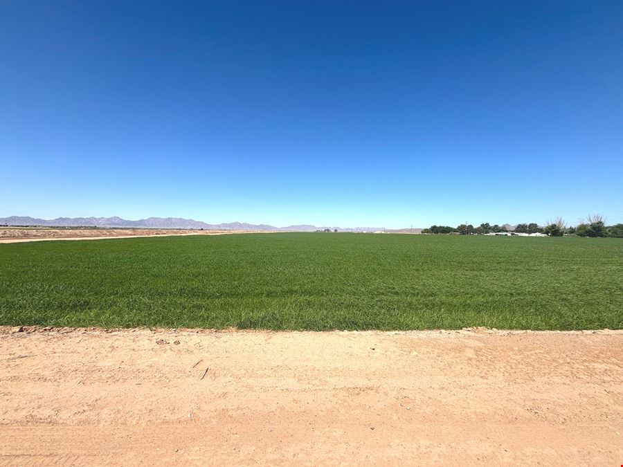 Excellent Vegetable Farmland: ±110 Water Acres in Wellton