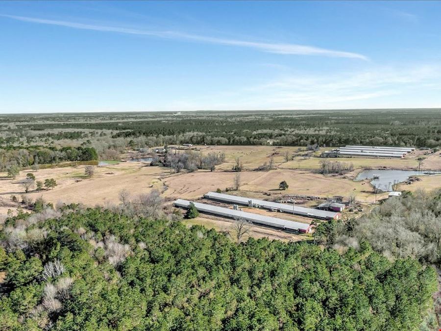 Breeder Farm In Marshall