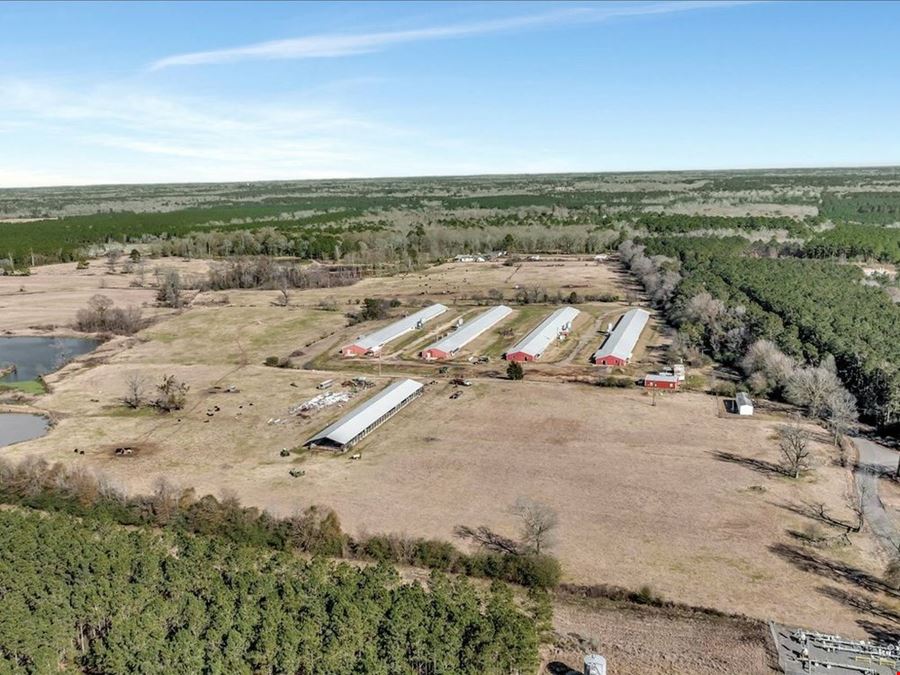 Breeder Farm In Marshall