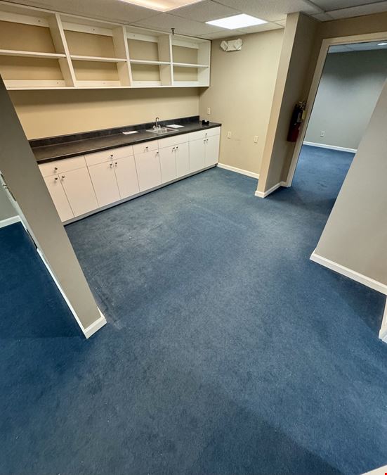 Professional Office
