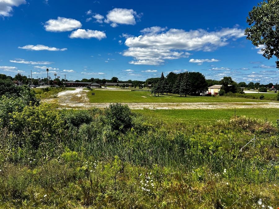 Buena Vista M-46 at I-75  Development Land