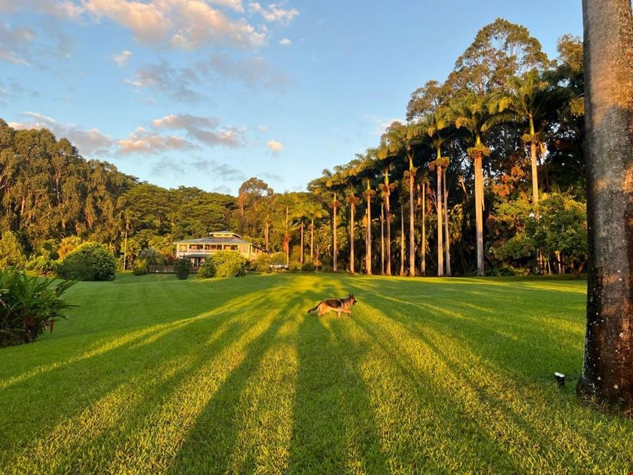 Luxurious Hawaiian Working Farm Retreat