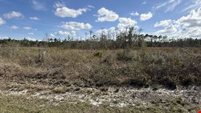 20-Acre  in Altha, Fl -AG Zoned with Development Potential