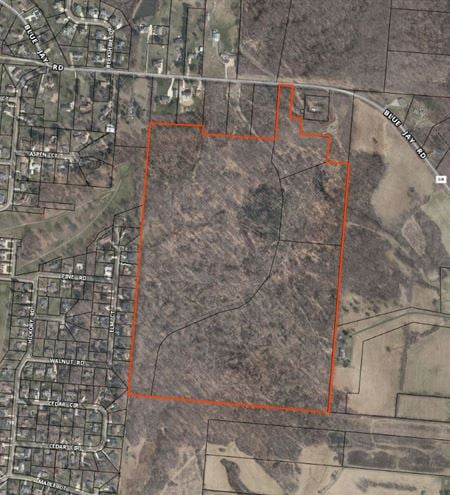 Preview of VacantLand space for Sale at 84.883 Acres Blue Jay Road
