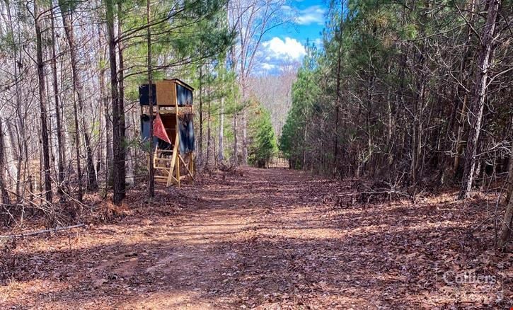 ±140-Acre Timber & Recreational Tract | Ridgeway, SC