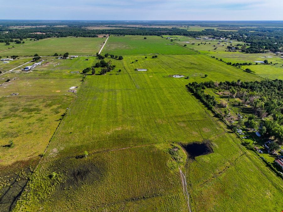 The K Ranch