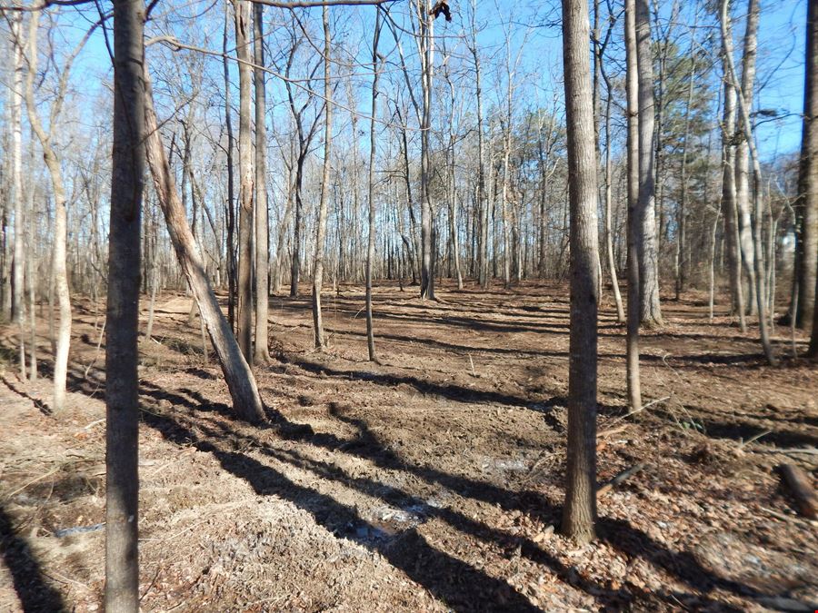 Lot 24 & 25 Sylvania Estates