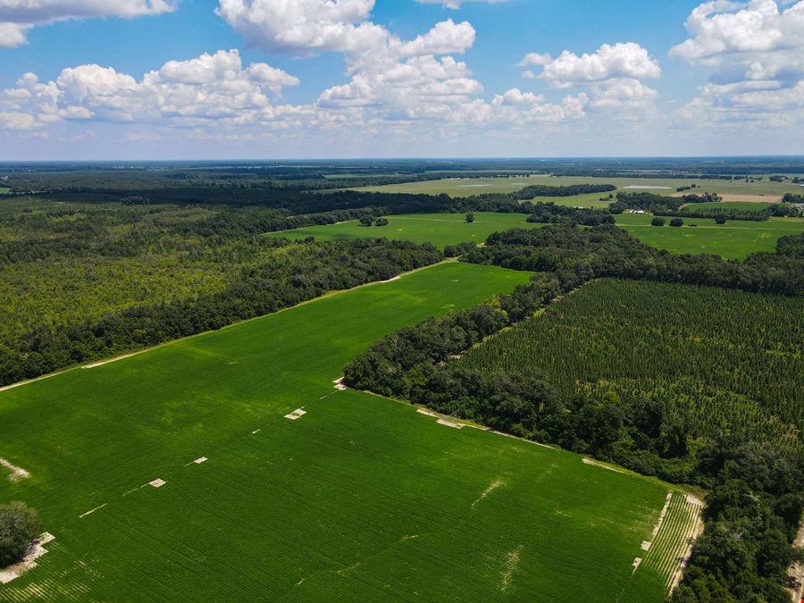 Marianna Farm and Hunting
