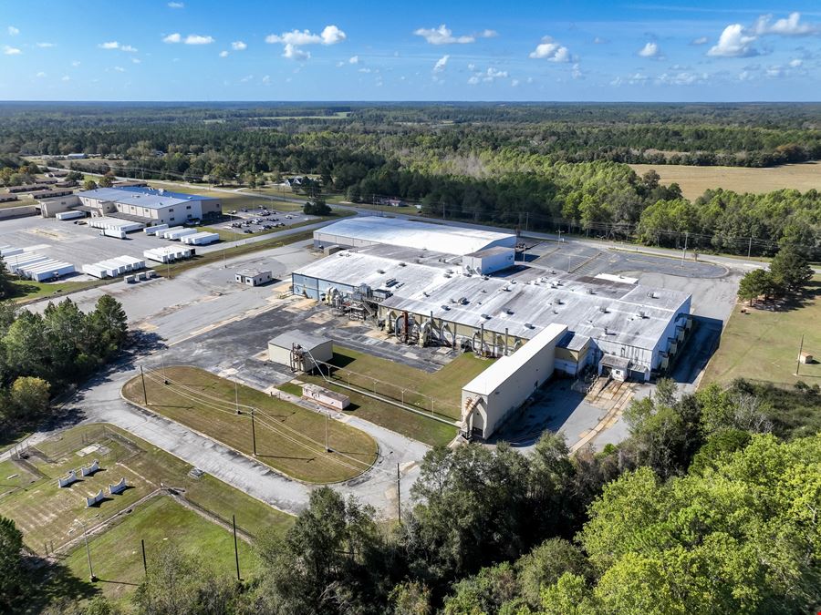 South, GA Manufactuing / Processing / Warehousing Facility