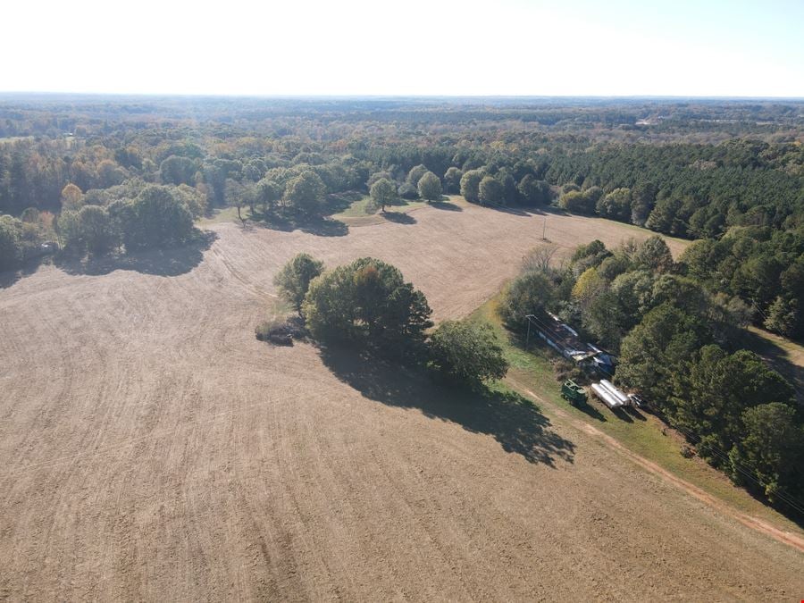 71.75 Acres - Marks Rd