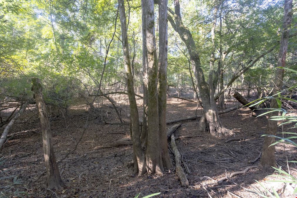 Dodge County River Property