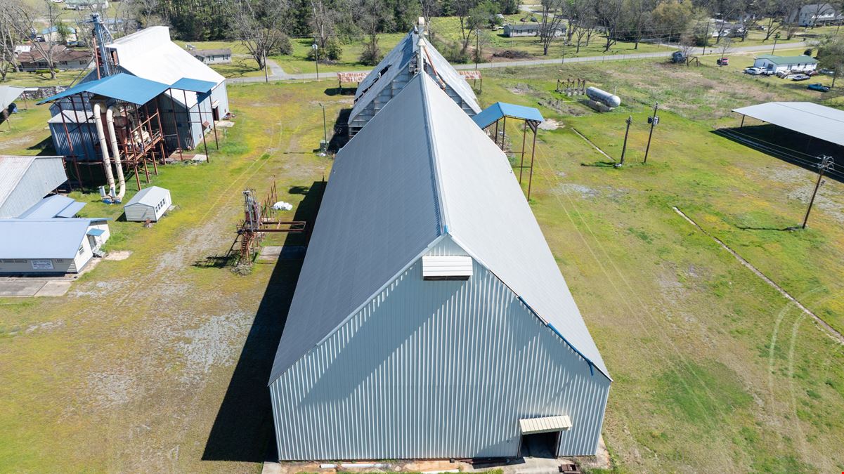 Georgia Peanut Buying Point