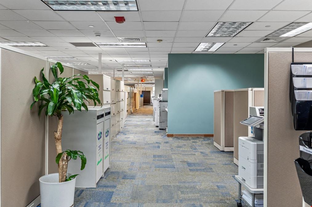 Triple S Building - 8th Floor