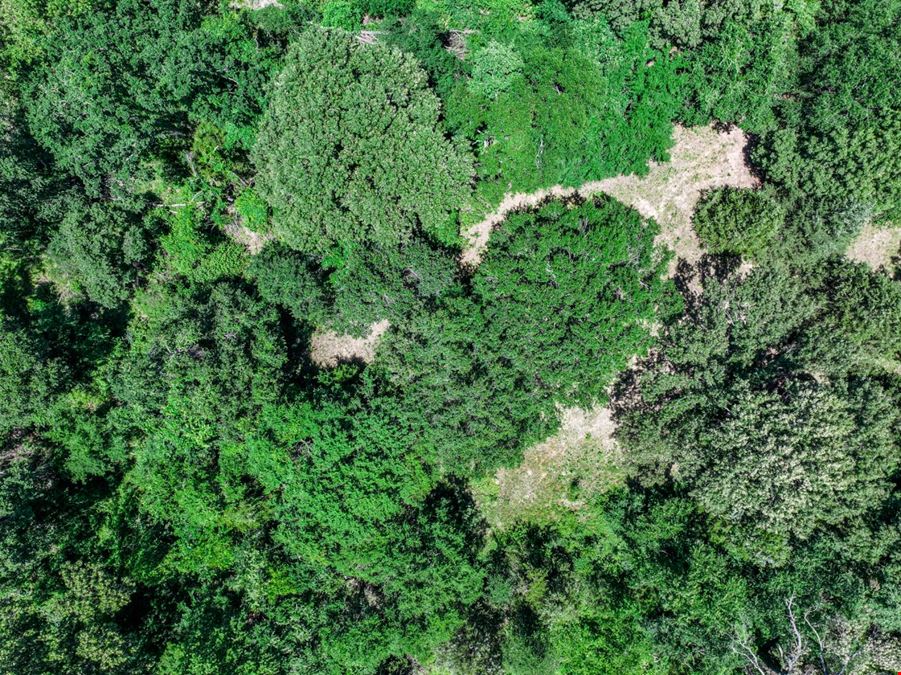 Land for Sale in Wills Point