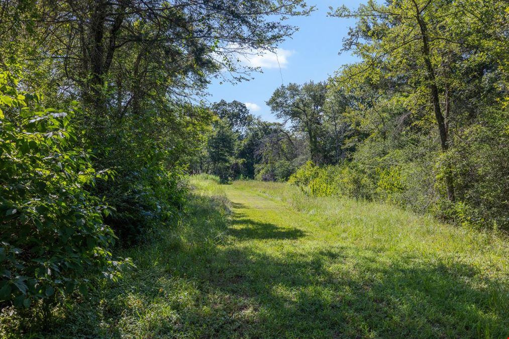 16135 Wilson Pasture Road