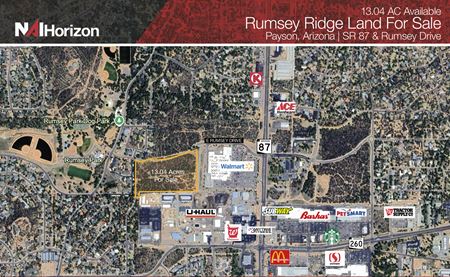 Preview of VacantLand space for Sale at SR 87 & E Rumsey Drive