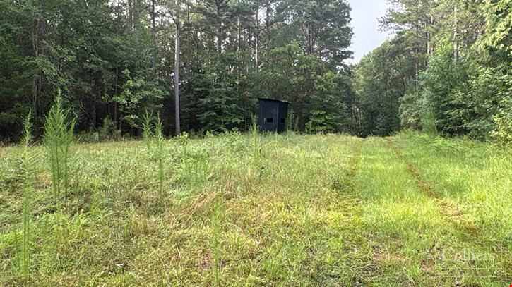 ±97.79 Acres Ready for Development in Spartanburg County