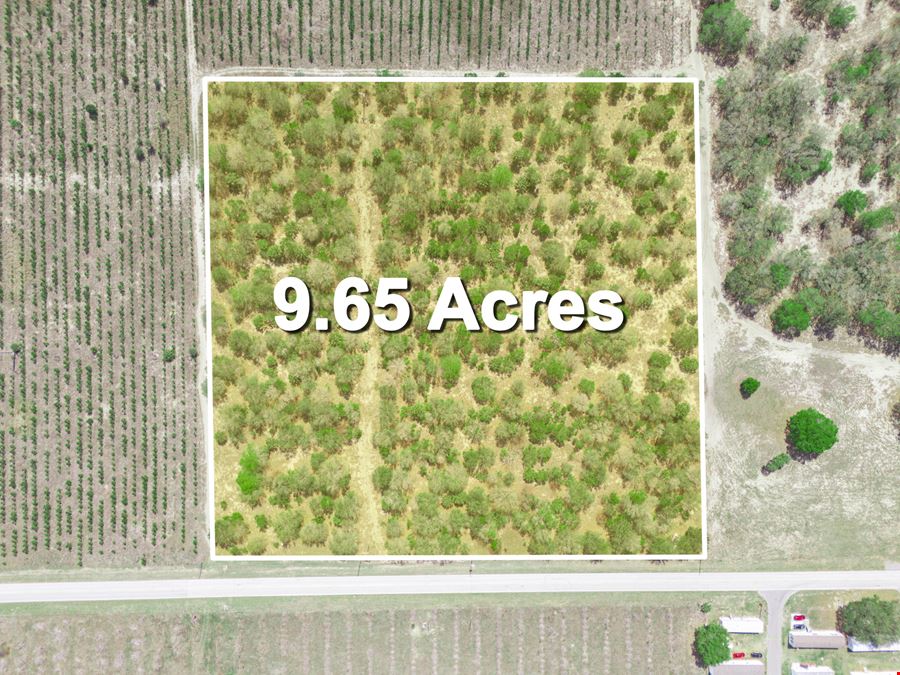 9.65± Acres on Friedlander Rd | Lake Wales- Polk County | Rural Homesite / Ag / Recreation