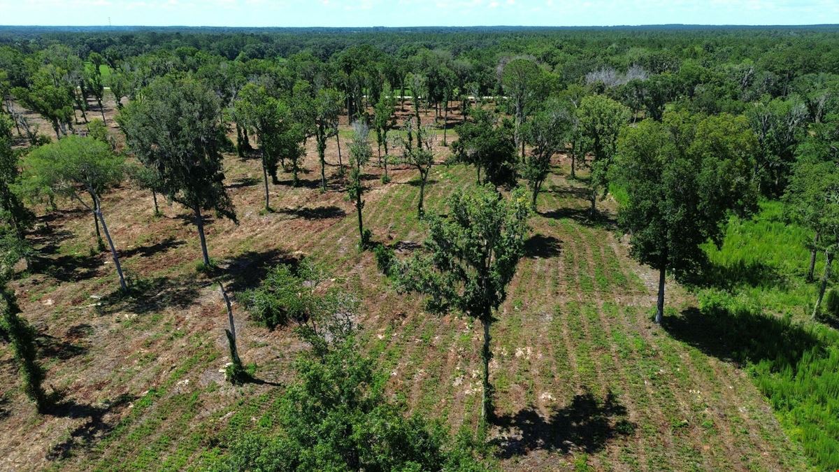 39 +/- Acres in Horse Country