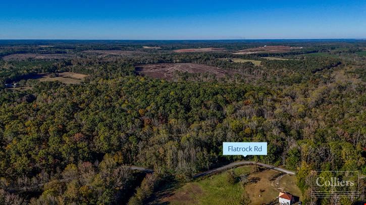 ±116.15-Acre Tract for Sale - 35 Minutes to Downtown Greenville