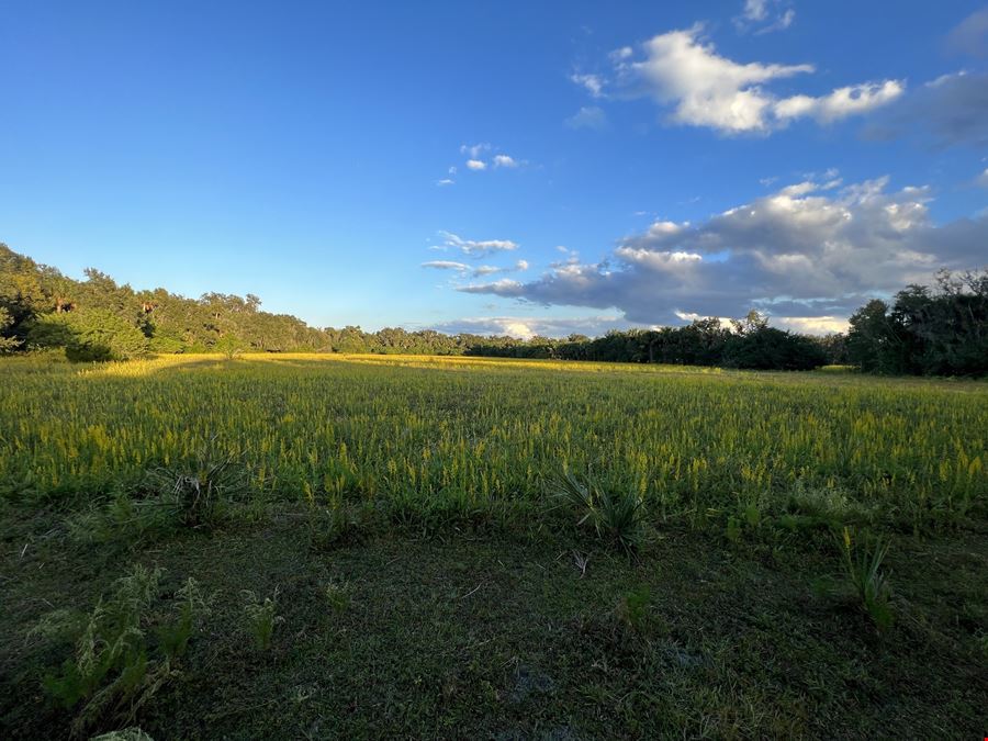 Premier Land Parcel by Sanford's Airport Hub