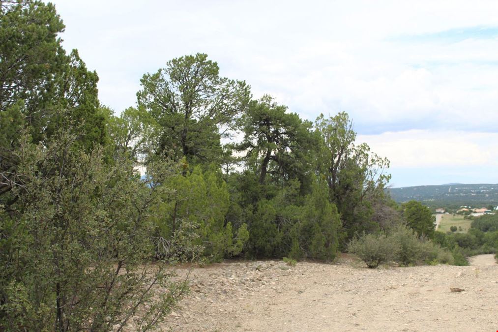 3 Manzano Loop
