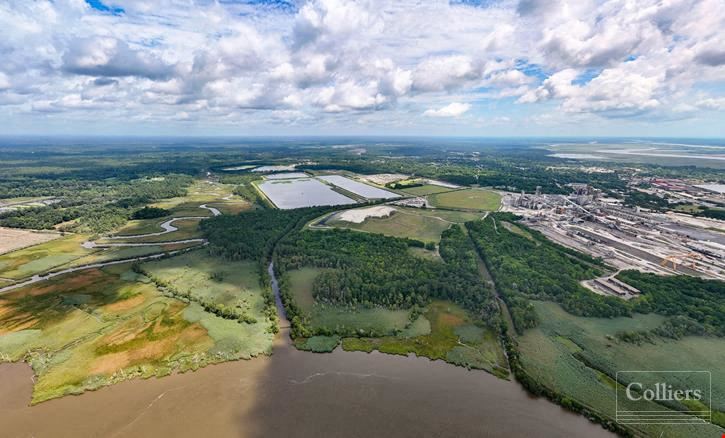 International Georgetown Paper Mill Site