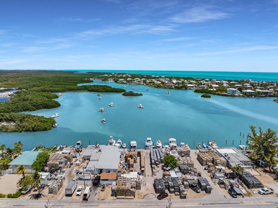 38 Coco Plum