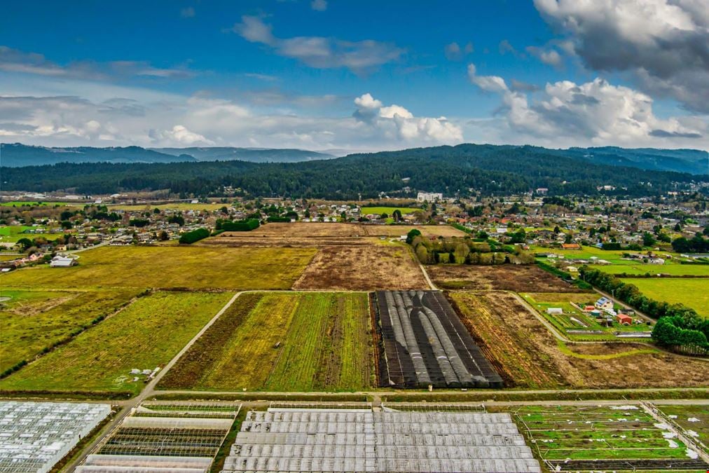 Arcata Greenhouses