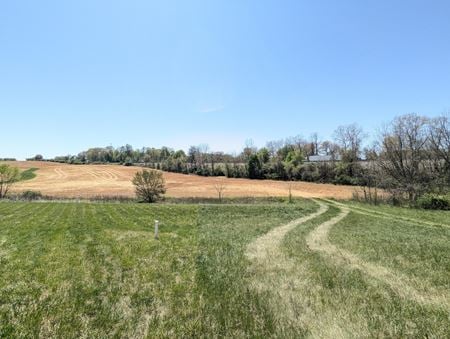 Preview of VacantLand space for Sale at 989 Potosi Rd