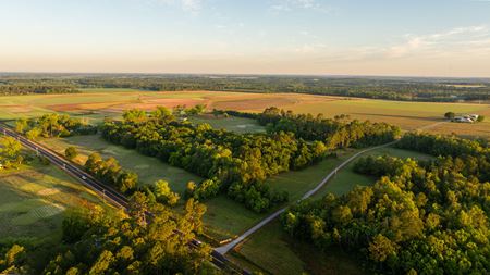 Preview of VacantLand space for Sale at 24795 County Road 32