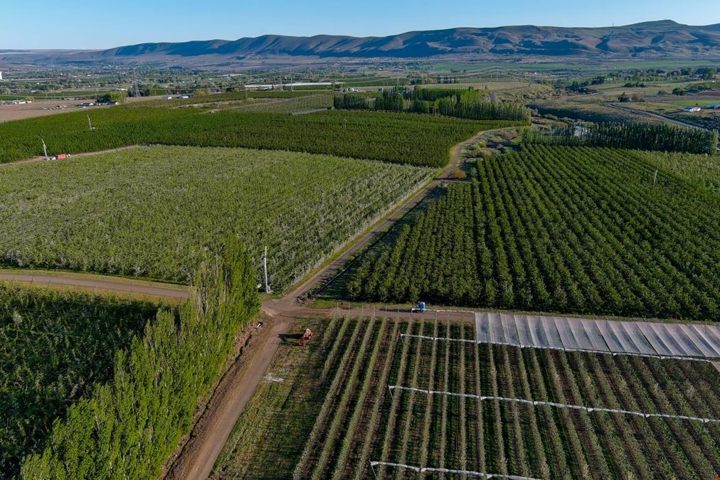 Benton Acord Orchard