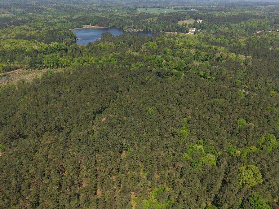 225.48 Acres - Picketts Bridge Estates