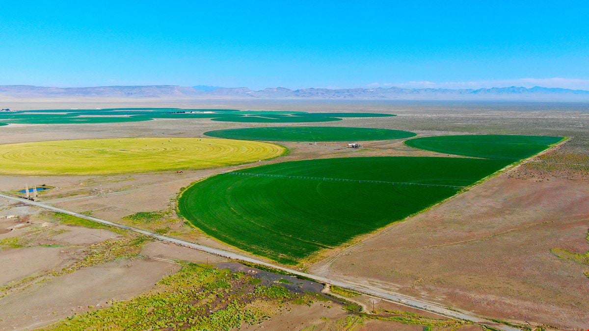 Nye County NV Alfalfa Farm with Pivots, Water Rights