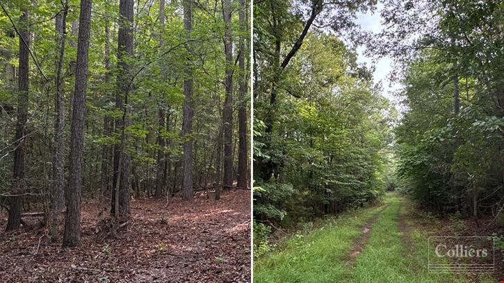 ±97.79 Acres Ready for Development in Spartanburg County