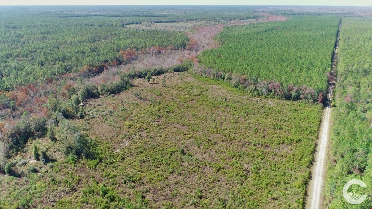 580 Acres of Recreation Land in Bay County, FL