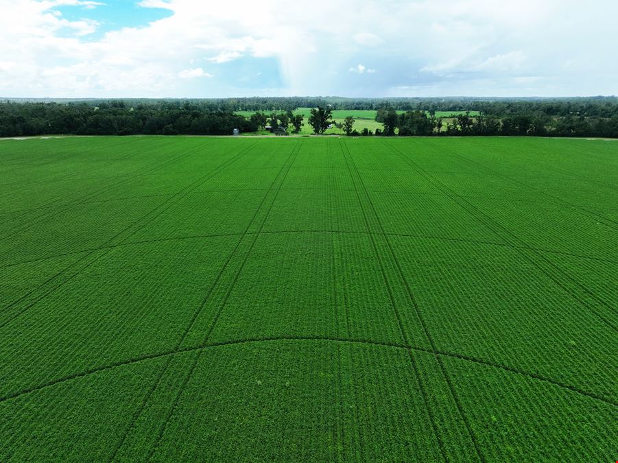 Rollings Farm - Madison County