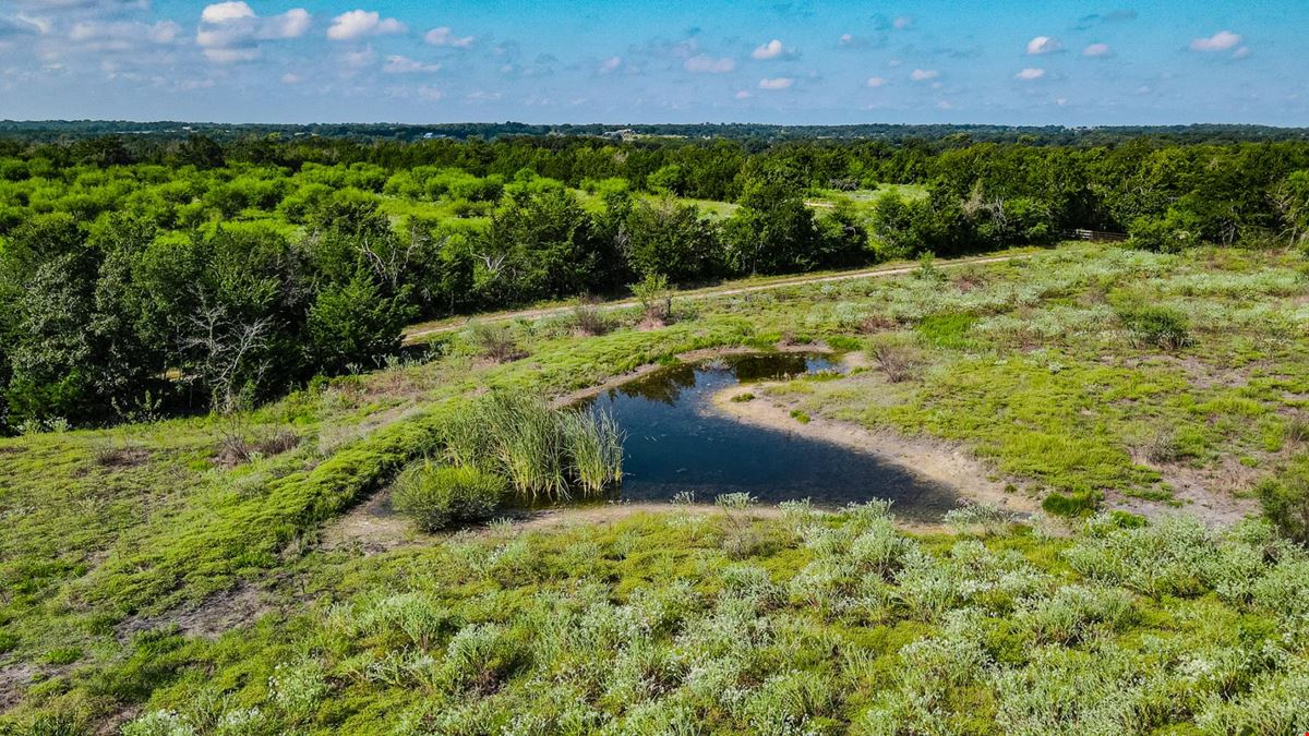14909 Newman League Road