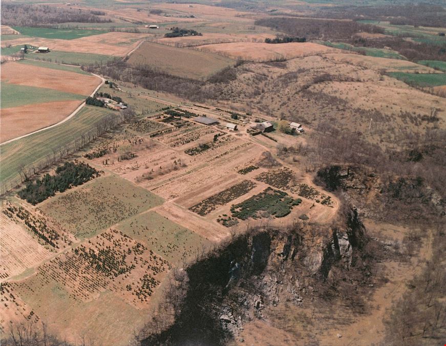 Carlim Quarry