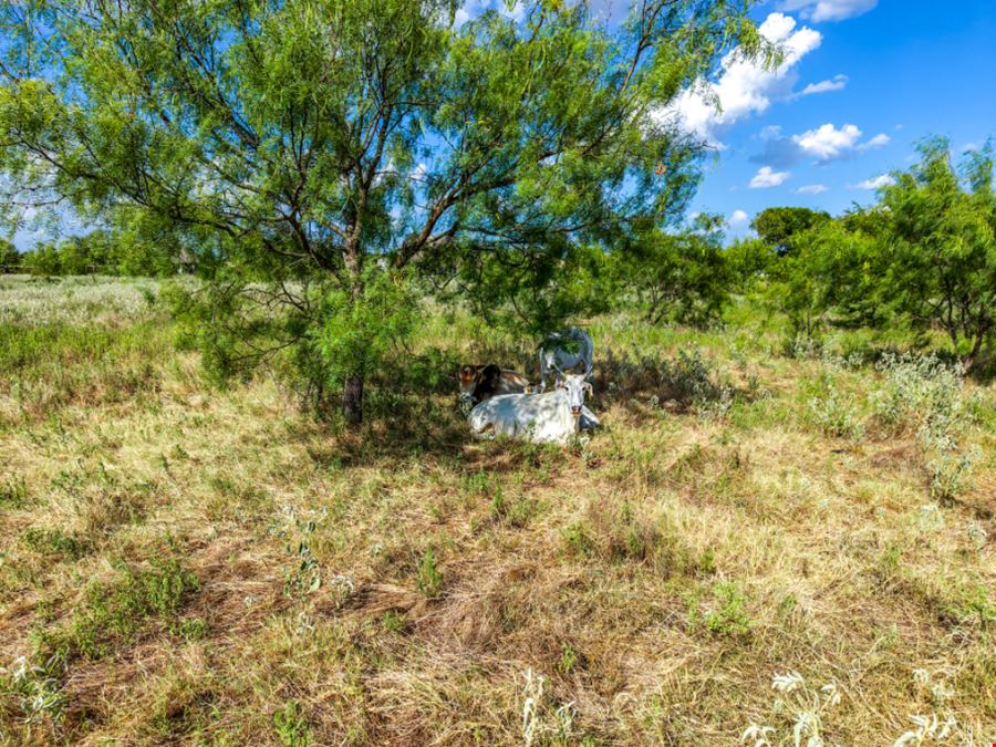 Land Multi-Family Development in Oak Ridge - 7348 N State Highway 34