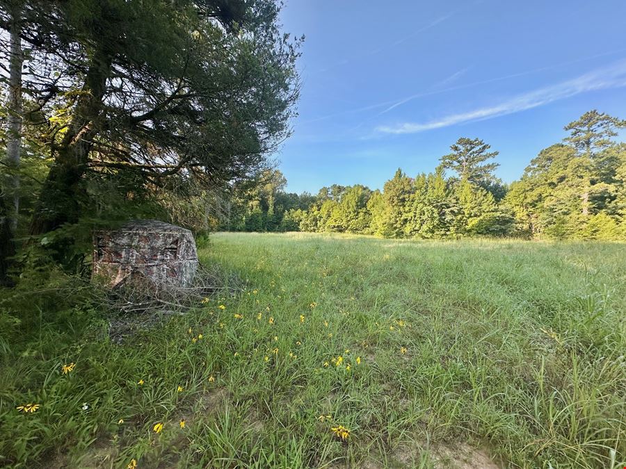 Meriwether Road Tract