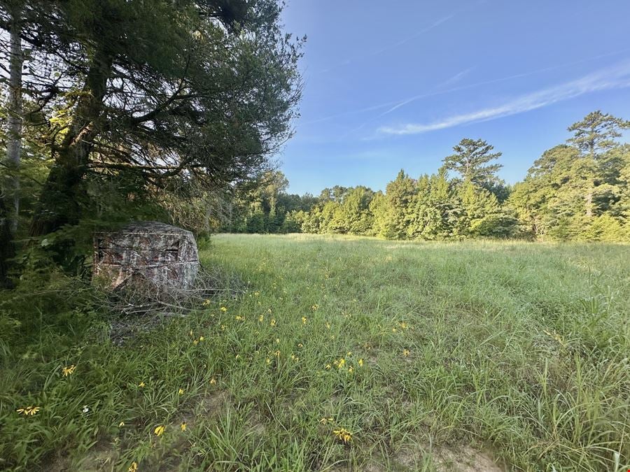 Meriwether Rd Tract