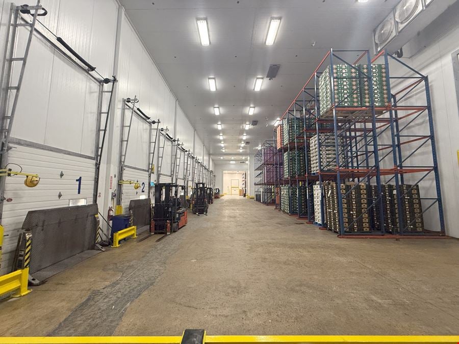 State-of-the-Art Cold Storage Facility