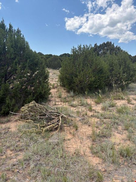 Preview of VacantLand space for Sale at 8 Arroyo de Tajique Rd